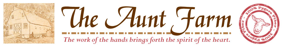 The Aunt Farm